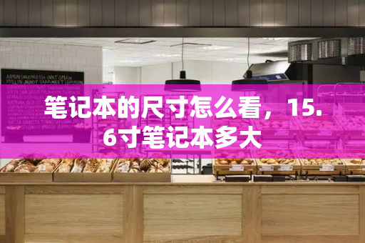 笔记本的尺寸怎么看，15.6寸笔记本多大
