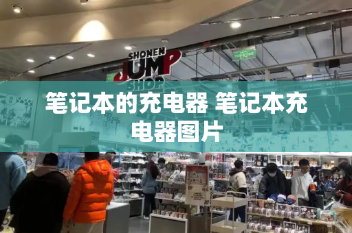 笔记本的充电器 笔记本充电器图片