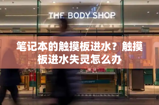 笔记本的触摸板进水？触摸板进水失灵怎么办-第1张图片-星选测评