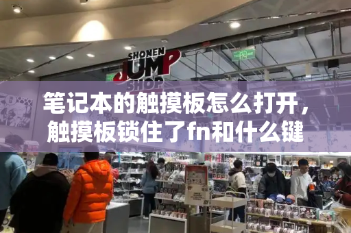 笔记本的触摸板怎么打开，触摸板锁住了fn和什么键-第1张图片-星选测评