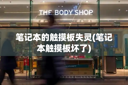 笔记本的触摸板失灵(笔记本触摸板坏了)-第1张图片-星选测评