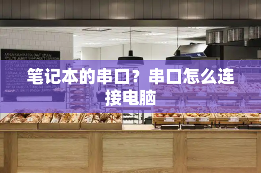 笔记本的串口？串口怎么连接电脑