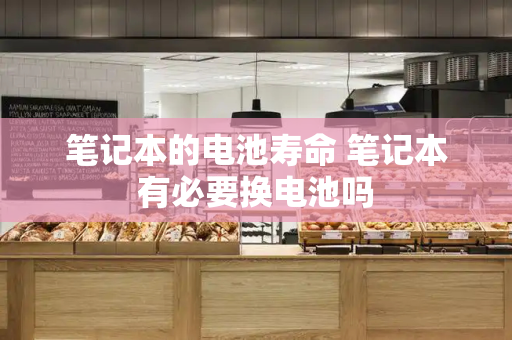 笔记本的电池寿命 笔记本有必要换电池吗