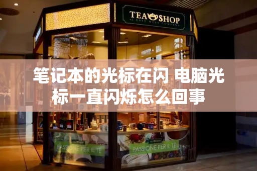 笔记本的光标在闪 电脑光标一直闪烁怎么回事-第1张图片-星选测评