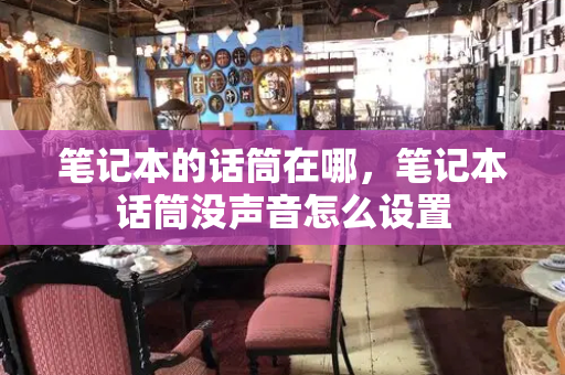 笔记本的话筒在哪，笔记本话筒没声音怎么设置-第1张图片-星选测评