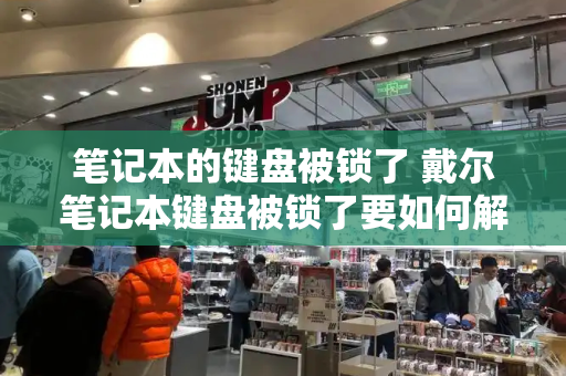 笔记本的键盘被锁了 戴尔笔记本键盘被锁了要如何解锁-第1张图片-星选测评