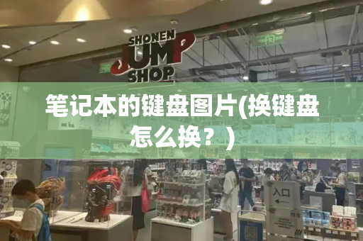 笔记本的键盘图片(换键盘怎么换？)-第1张图片-星选测评