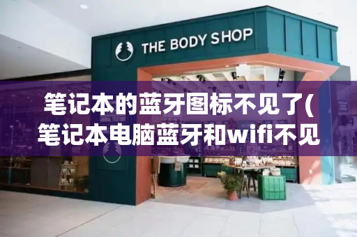 笔记本的蓝牙图标不见了(笔记本电脑蓝牙和wifi不见了)