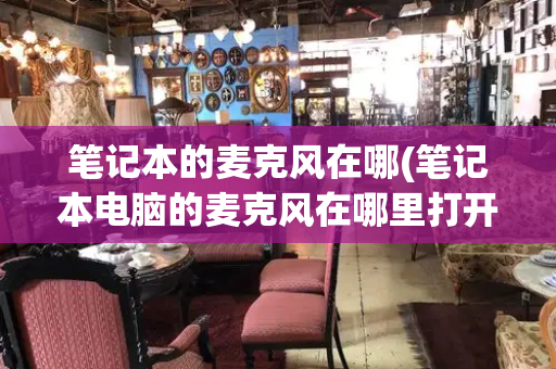 笔记本的麦克风在哪(笔记本电脑的麦克风在哪里打开)