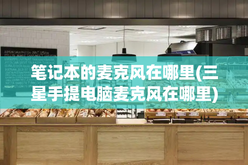 笔记本的麦克风在哪里(三星手提电脑麦克风在哪里)