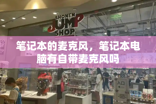 笔记本的麦克风，笔记本电脑有自带麦克风吗-第1张图片-星选测评