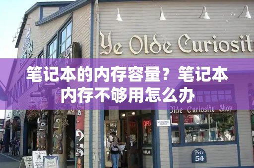 笔记本的内存容量？笔记本内存不够用怎么办-第1张图片-星选测评