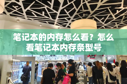 笔记本的内存怎么看？怎么看笔记本内存条型号-第1张图片-星选测评