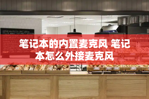 笔记本的内置麦克风 笔记本怎么外接麦克风-第1张图片-星选测评