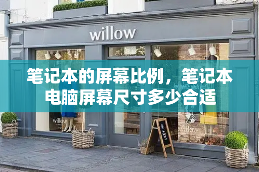 笔记本的屏幕比例，笔记本电脑屏幕尺寸多少合适-第1张图片-星选测评
