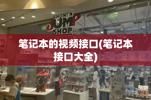 笔记本的视频接口(笔记本接口大全)-第1张图片-星选测评