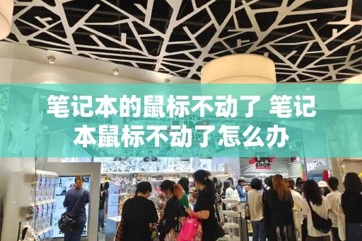 笔记本的鼠标不动了 笔记本鼠标不动了怎么办