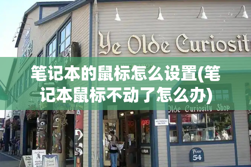 笔记本的鼠标怎么设置(笔记本鼠标不动了怎么办)-第1张图片-星选测评