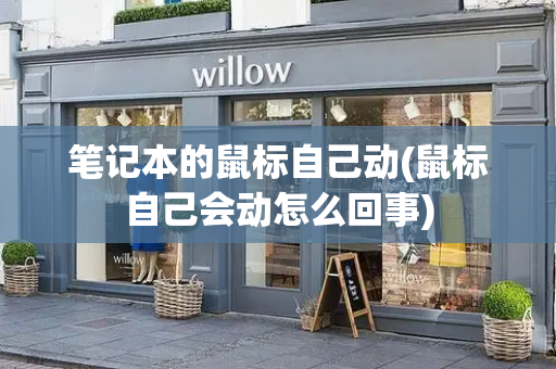 笔记本的鼠标自己动(鼠标自己会动怎么回事)