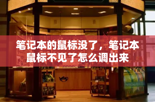 笔记本的鼠标没了，笔记本鼠标不见了怎么调出来