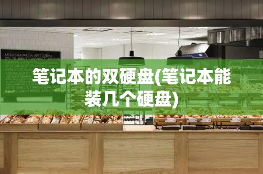 笔记本的双硬盘(笔记本能装几个硬盘)