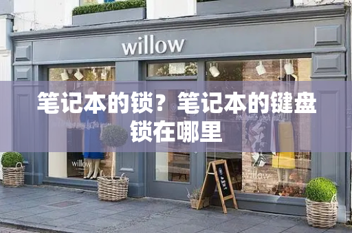 笔记本的锁？笔记本的键盘锁在哪里-第1张图片-星选测评