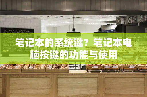 笔记本的系统键？笔记本电脑按键的功能与使用-第1张图片-星选测评