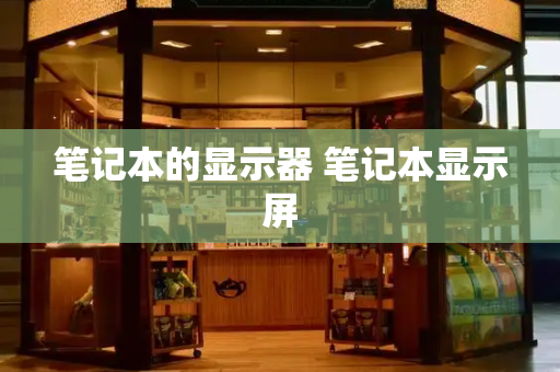 笔记本的显示器 笔记本显示屏
