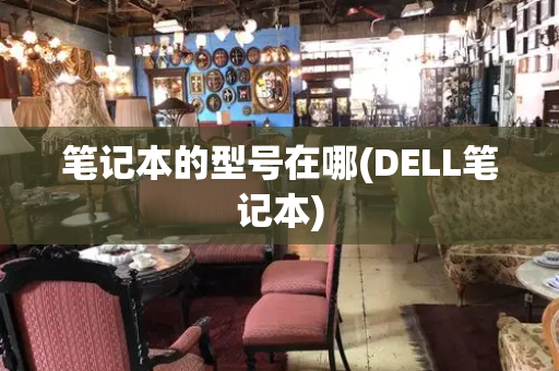 笔记本的型号在哪(DELL笔记本)