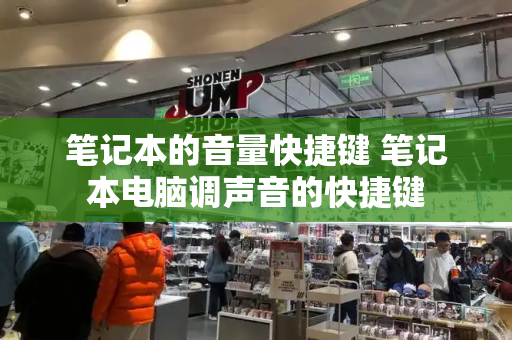 笔记本的音量快捷键 笔记本电脑调声音的快捷键