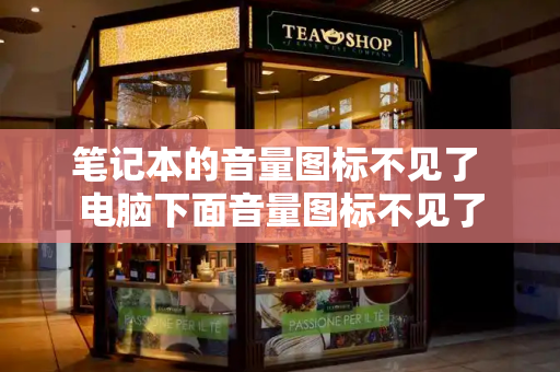 笔记本的音量图标不见了 电脑下面音量图标不见了