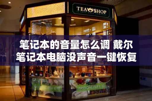 笔记本的音量怎么调 戴尔笔记本电脑没声音一键恢复