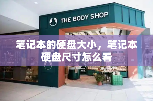 笔记本的硬盘大小，笔记本硬盘尺寸怎么看-第1张图片-星选测评