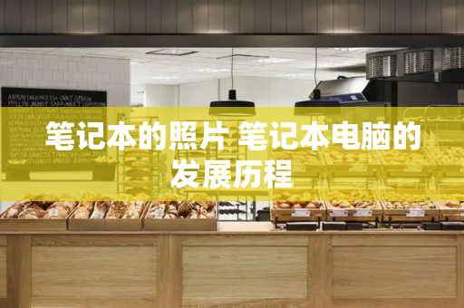 笔记本的照片 笔记本电脑的发展历程
