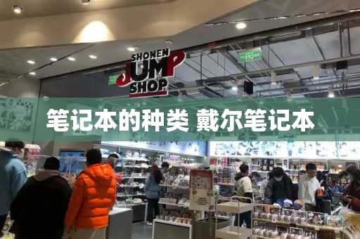 笔记本的种类 戴尔笔记本-第1张图片-星选测评