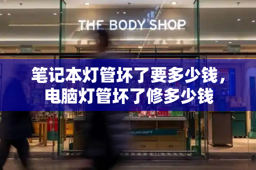 笔记本灯管坏了要多少钱，电脑灯管坏了修多少钱-第1张图片-星选测评