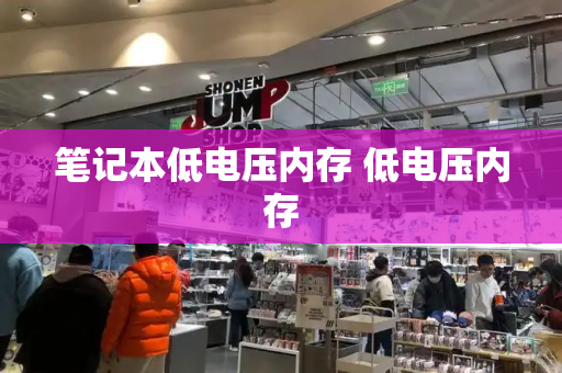笔记本低电压内存 低电压内存-第1张图片-星选测评