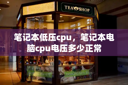 笔记本低压cpu，笔记本电脑cpu电压多少正常-第1张图片-星选测评