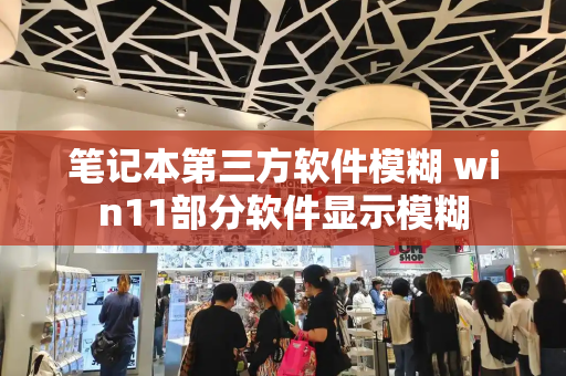 笔记本第三方软件模糊 win11部分软件显示模糊
