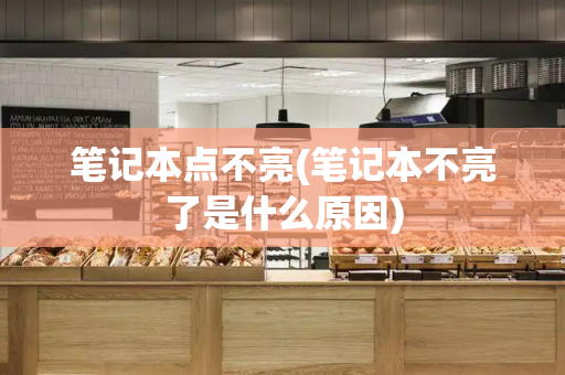 笔记本点不亮(笔记本不亮了是什么原因)-第1张图片-星选测评