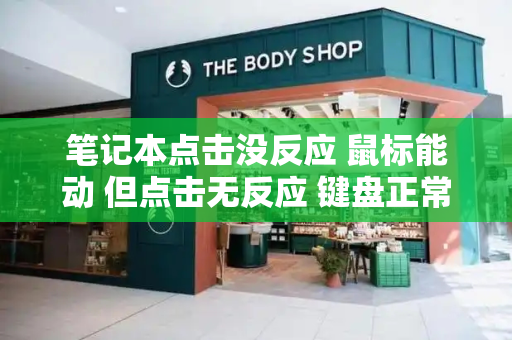 笔记本点击没反应 鼠标能动 但点击无反应 键盘正常