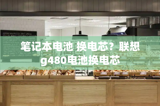 笔记本电池 换电芯？联想g480电池换电芯