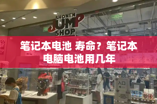 笔记本电池 寿命？笔记本电脑电池用几年-第1张图片-星选测评