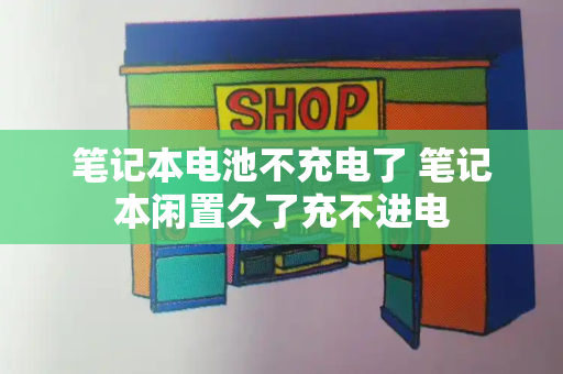 笔记本电池不充电了 笔记本闲置久了充不进电