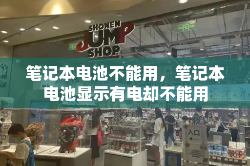 笔记本电池不能用，笔记本电池显示有电却不能用-第1张图片-星选测评