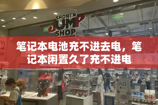 笔记本电池充不进去电，笔记本闲置久了充不进电