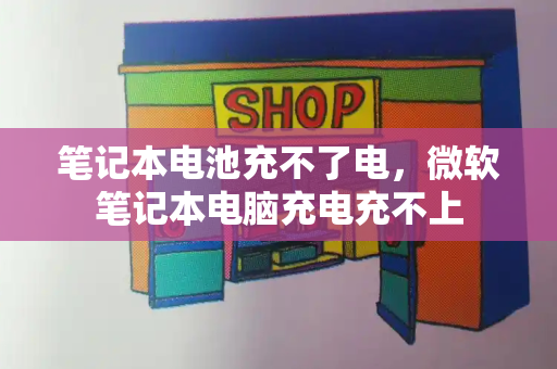 笔记本电池充不了电，微软笔记本电脑充电充不上-第1张图片-星选测评