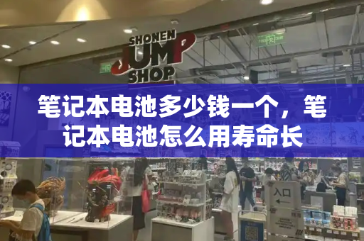 笔记本电池多少钱一个，笔记本电池怎么用寿命长-第1张图片-星选测评