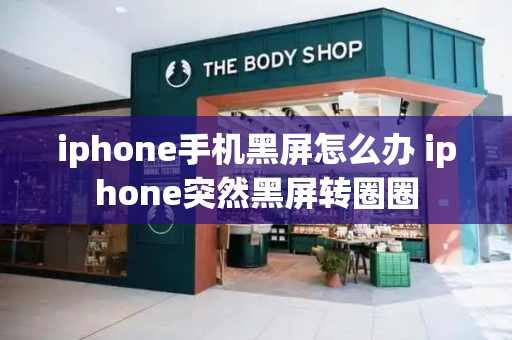 iphone手机黑屏怎么办 iphone突然黑屏转圈圈-第1张图片-星选测评