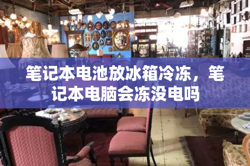 笔记本电池放冰箱冷冻，笔记本电脑会冻没电吗
